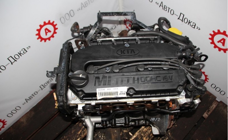 Двигатель S6D Kia Spectra 1.6 DOHC 101 л.с.