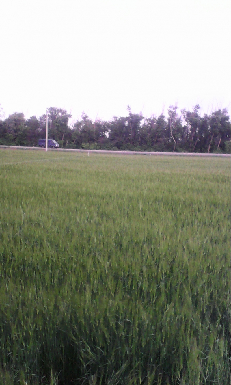 продаю