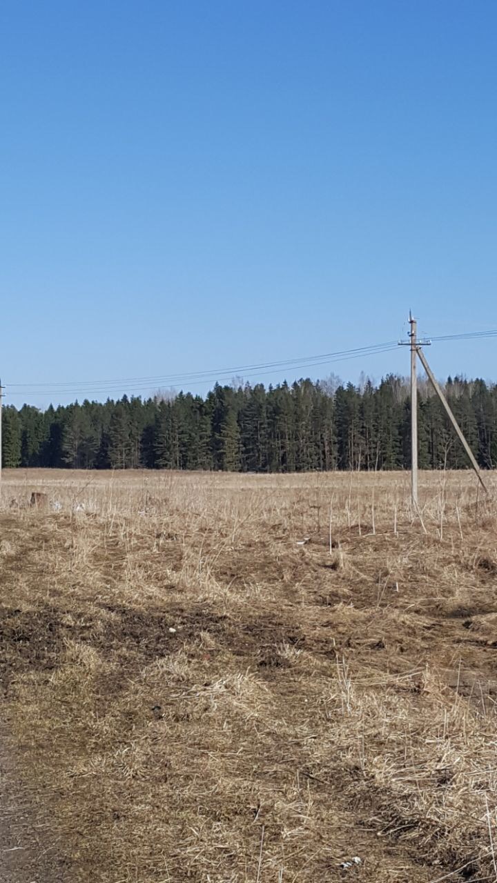 Замечательный участок в деревне Горки