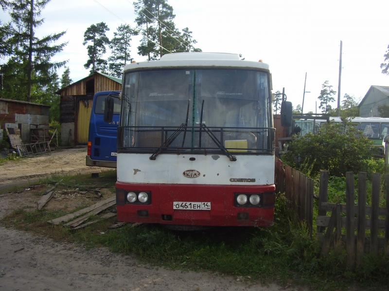 автобусы
