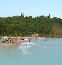 Сдаю номера, домик