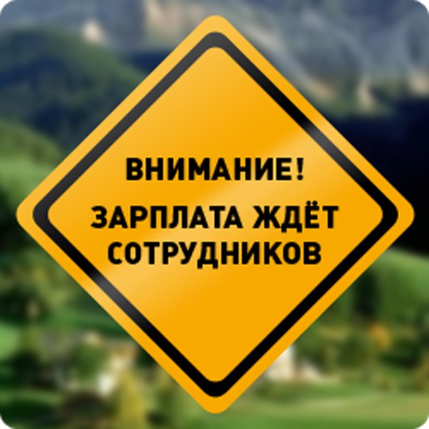 Реальная работа. Высокий доход