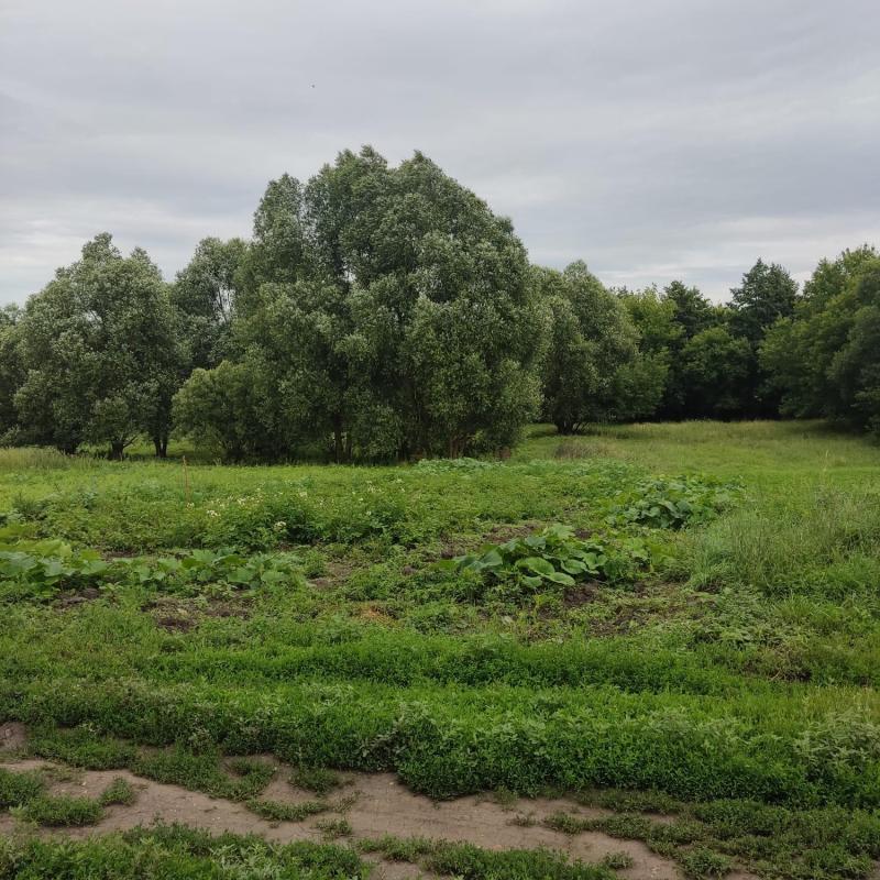 Продам участок в собственности. Город в 11 км. Рядом река. Красивое место.