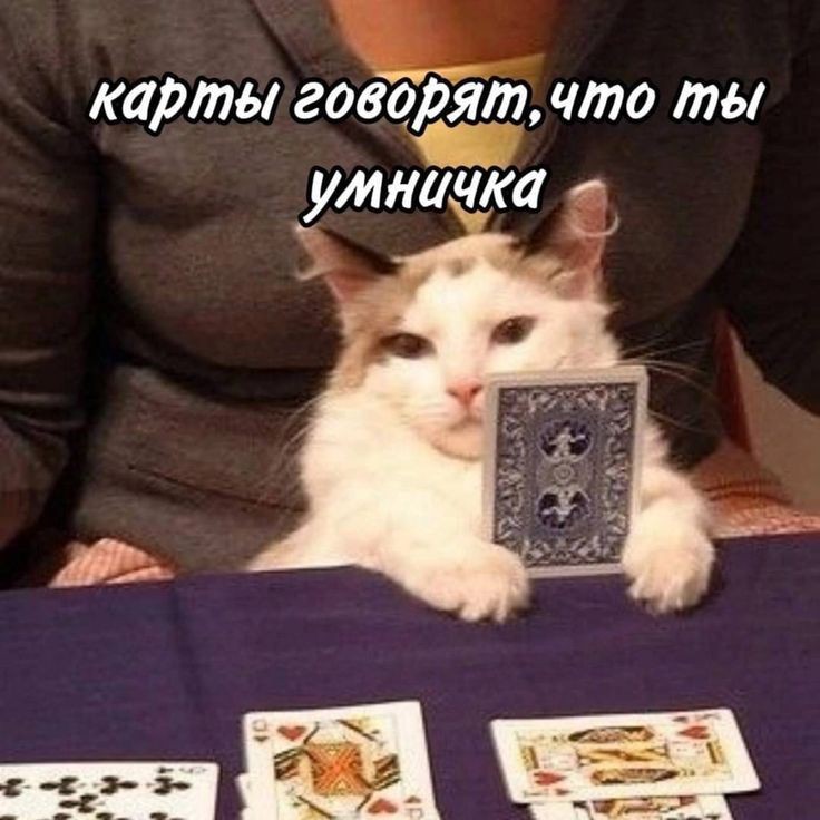 Раскладки Таротелеграмм: @rikoshaaaa