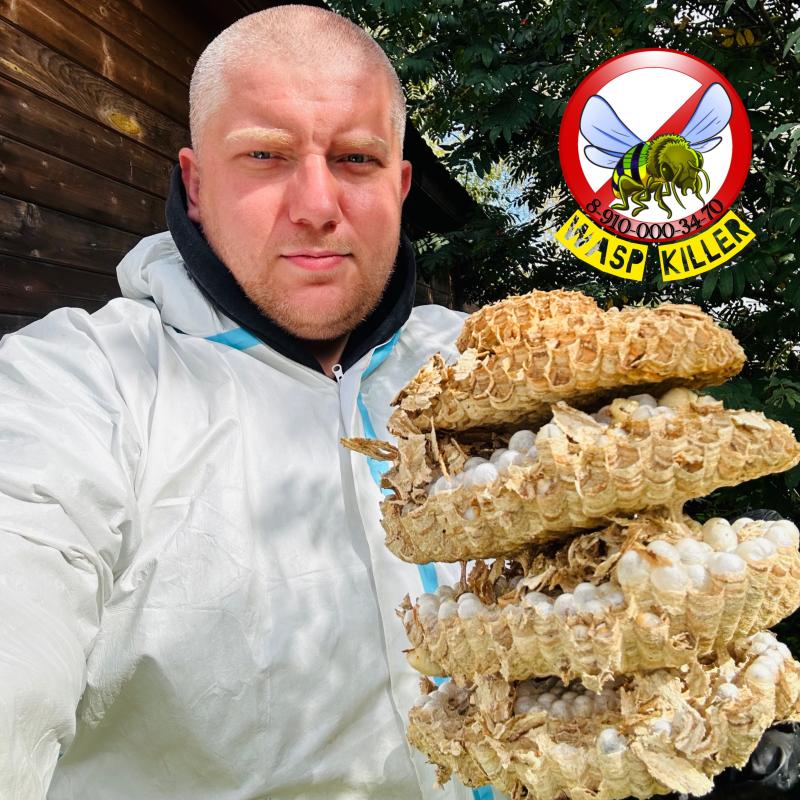 Уничтожение насекомых, клопов, тараканов, клещей, комаров