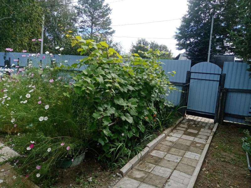 Дом 56 м2