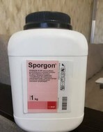 �������� -������� 50WP �� (���������� � ��������)