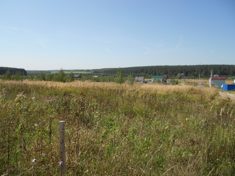 Богородский район