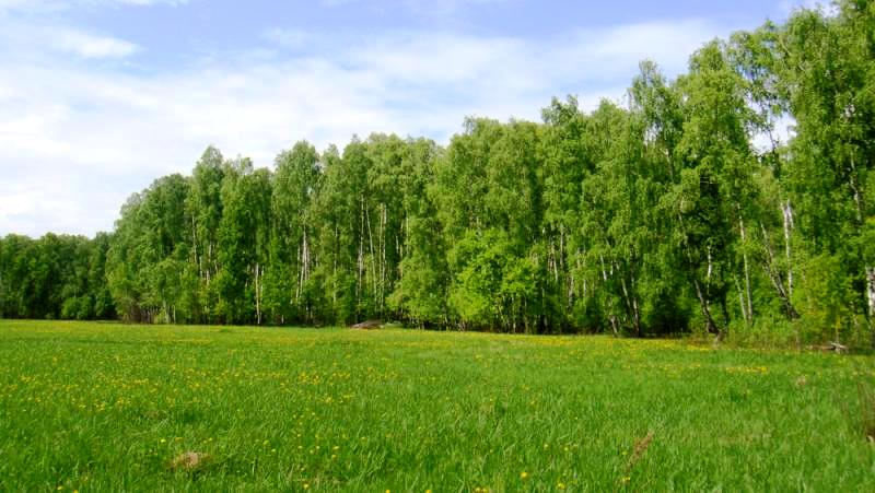 Продаётся земельный участок Московская область Чеховский район