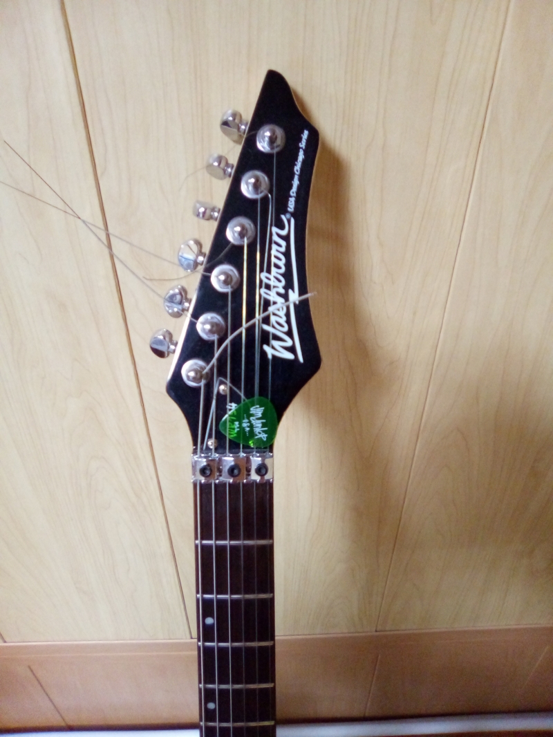  Washburn WR154