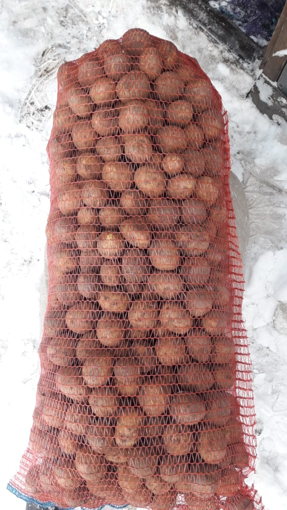 Картофель