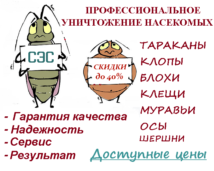 Уничтожение насекомых, тараканы, клопы, блохи. Конфиденциально. Гарантия
