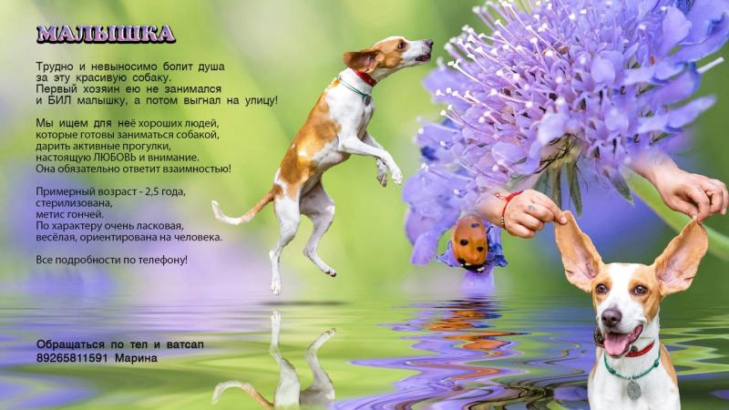 Прекрасная малышка ищет семью