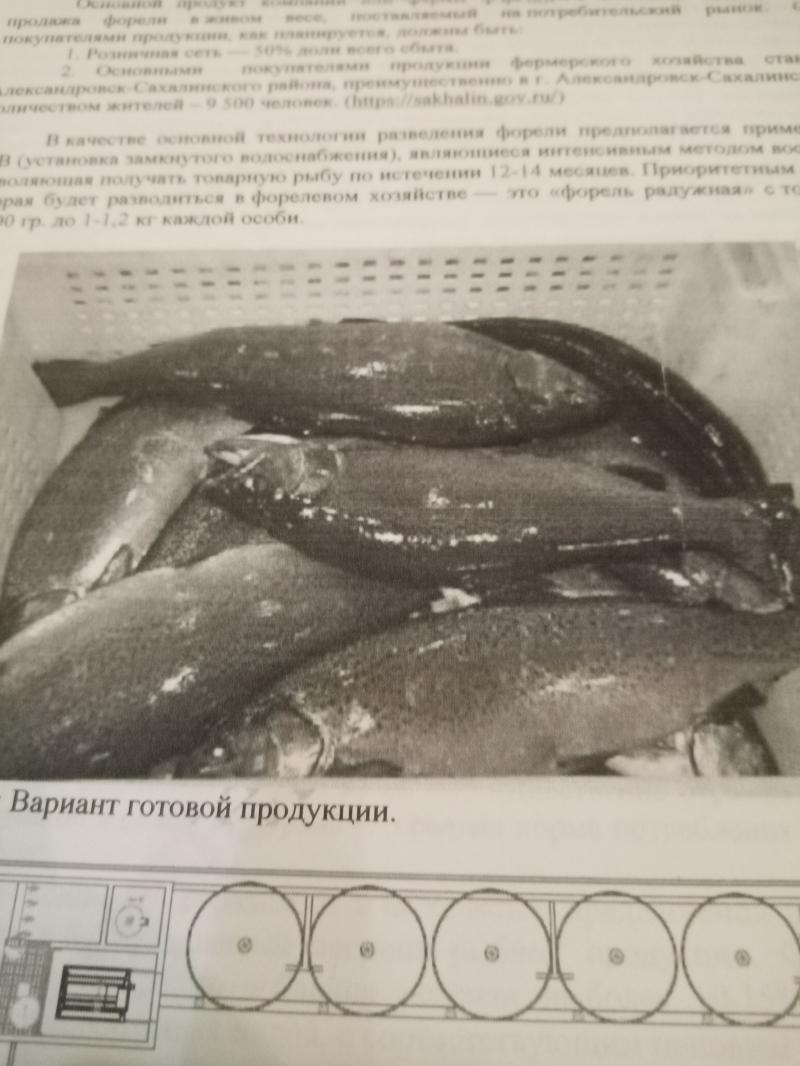 Участие населения в проекте