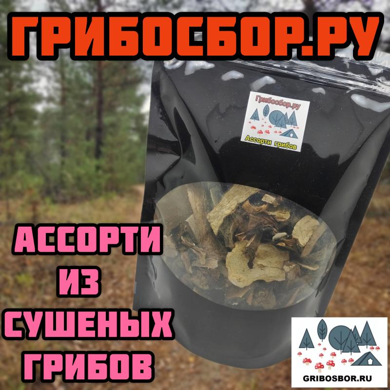 Ассорти из сушеных грибов 100г