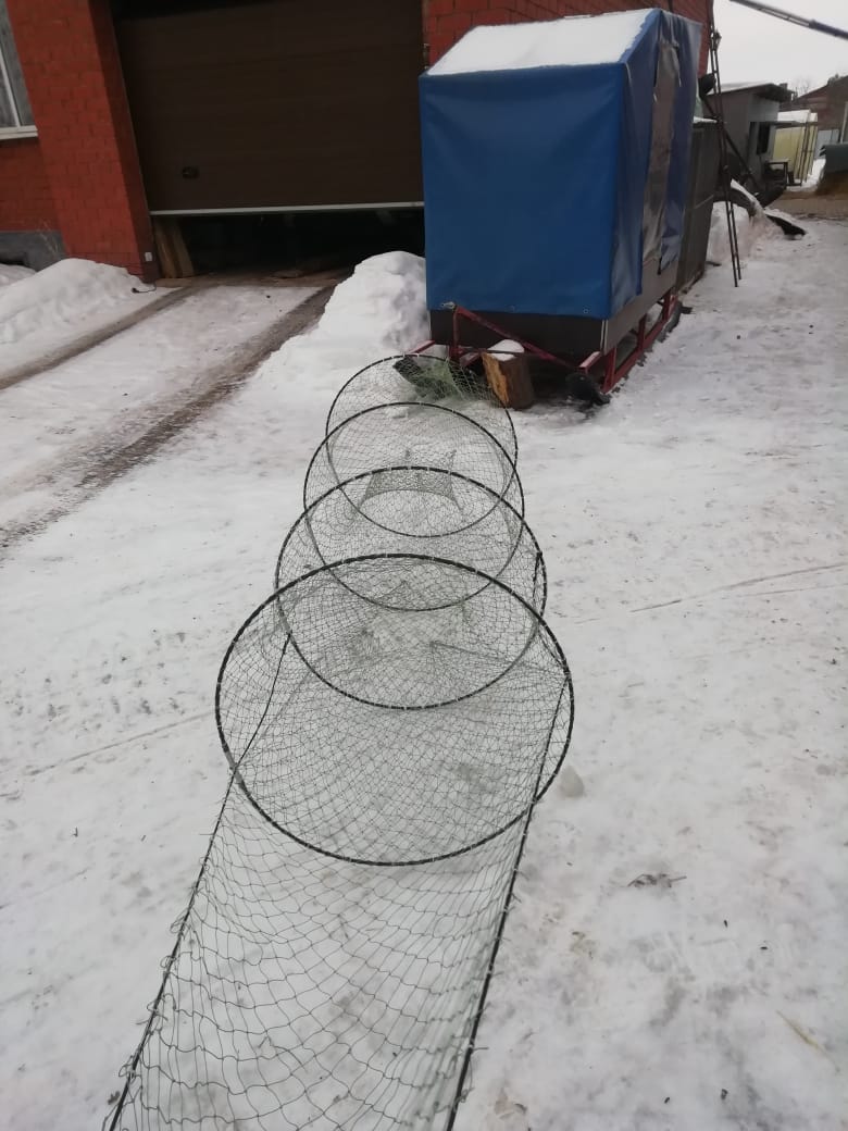 Вентерь рыболовный