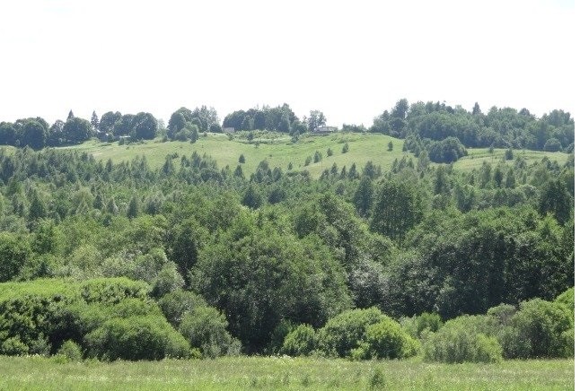 Урочище Токорево.