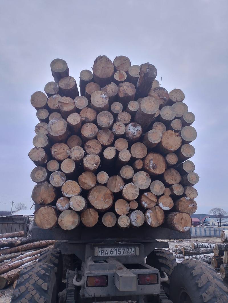 Рабочий на пилораму