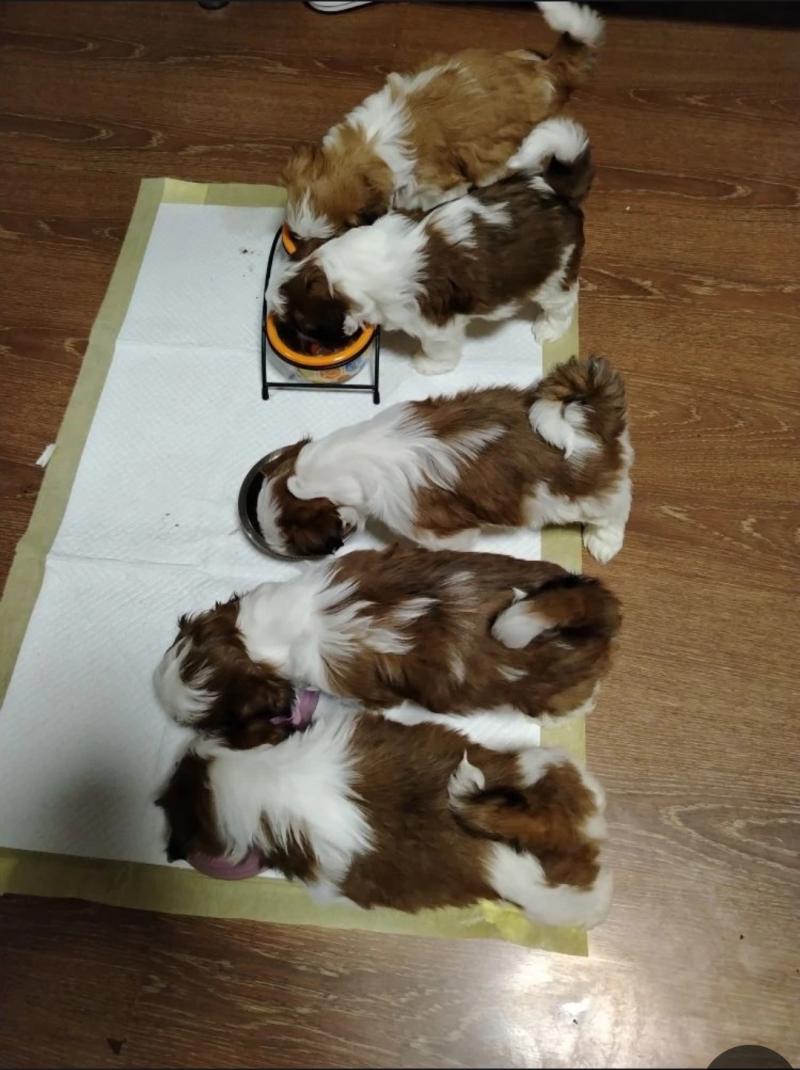 �������
