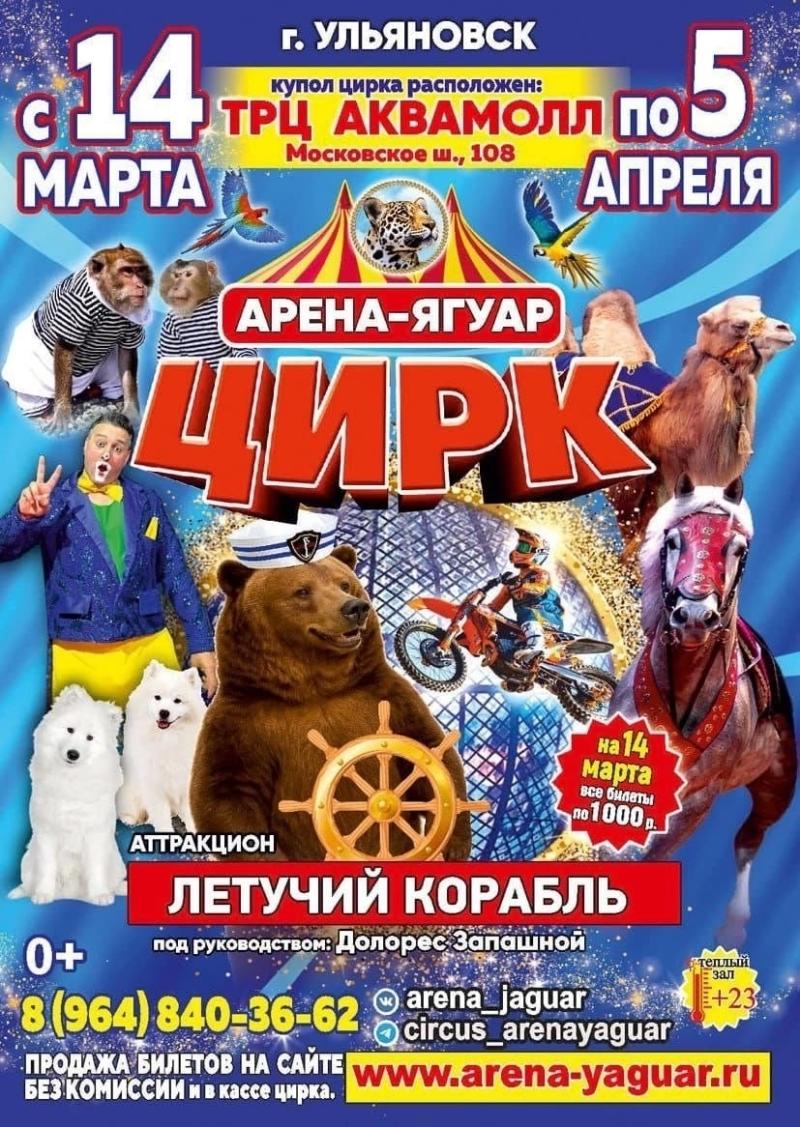 ���� ����� �����