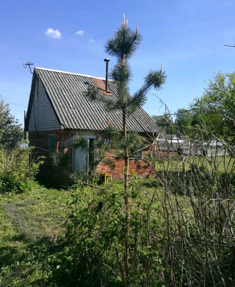Земельный участок с домиком в Люблино Новое