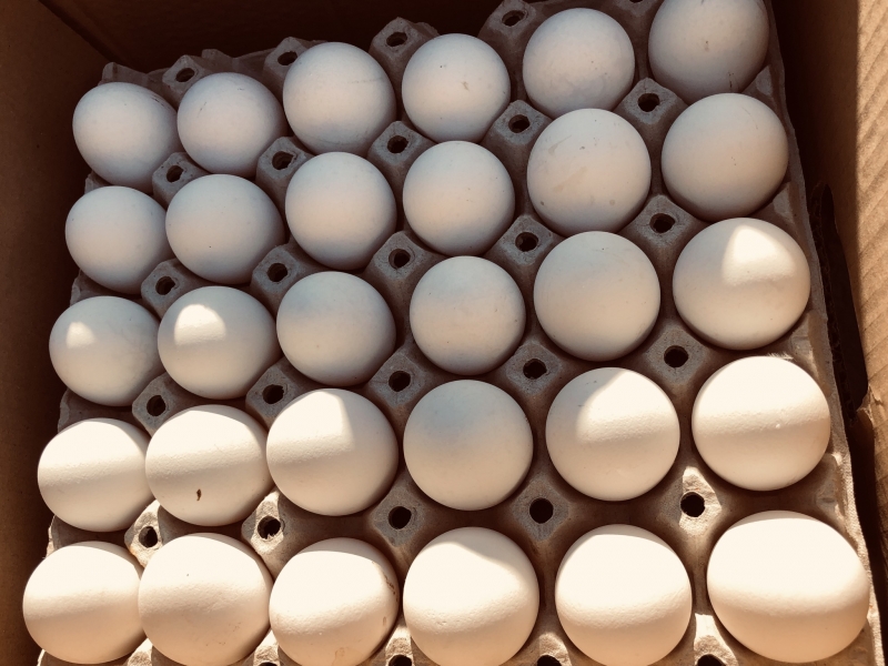 Яйцо куриное.Производство белорусской фабрики