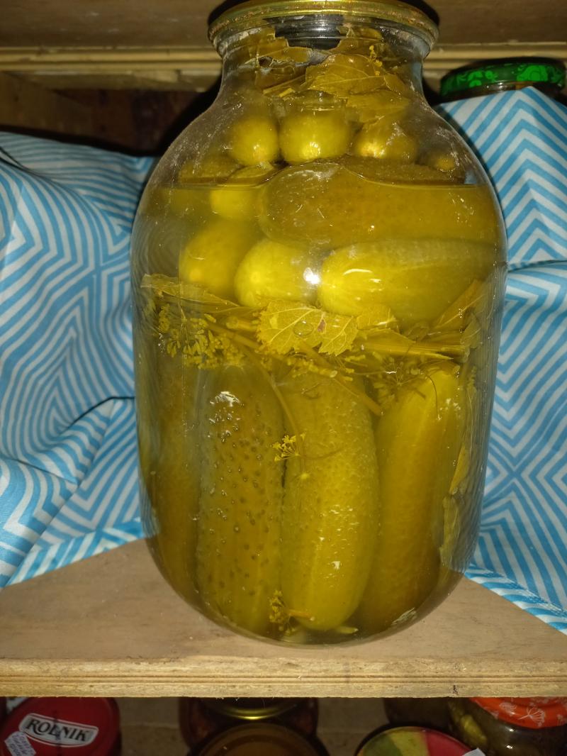 Домашние заготовки