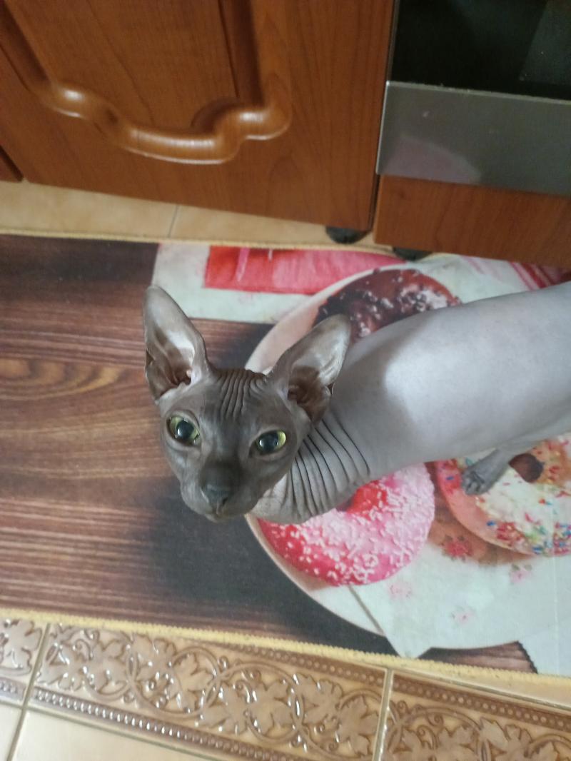 Вязка