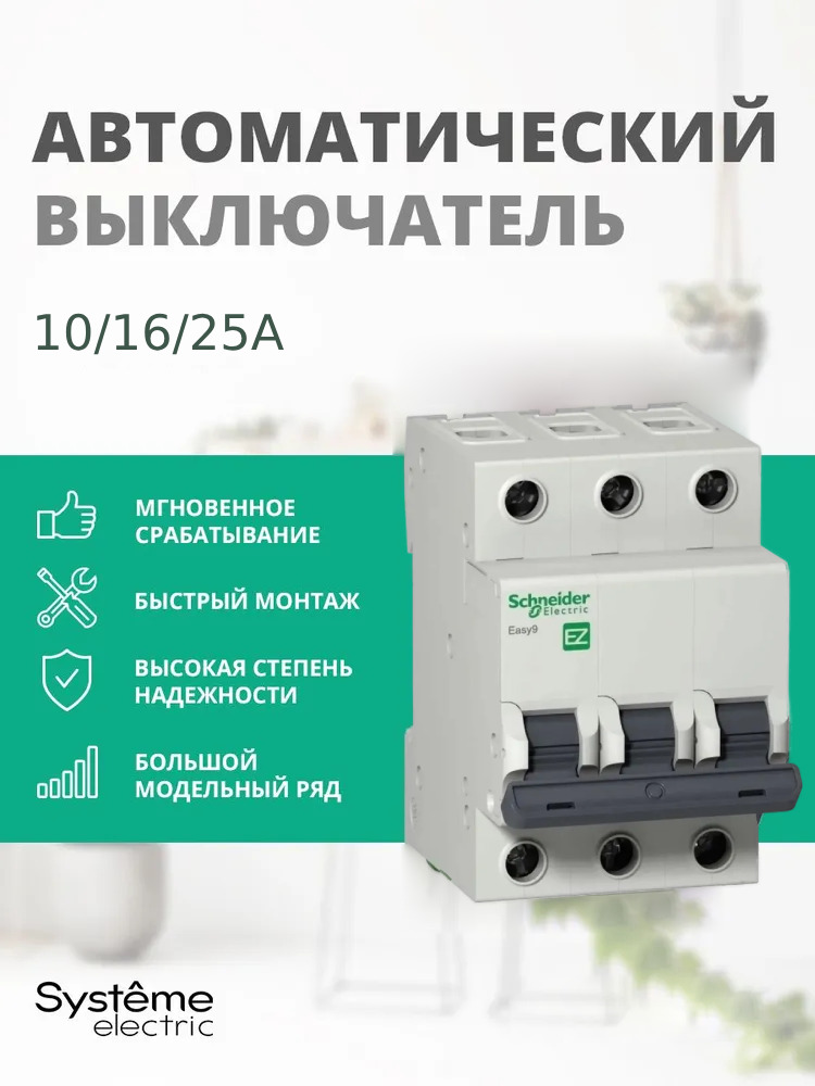��������, ���, ����������, ���� Schneider