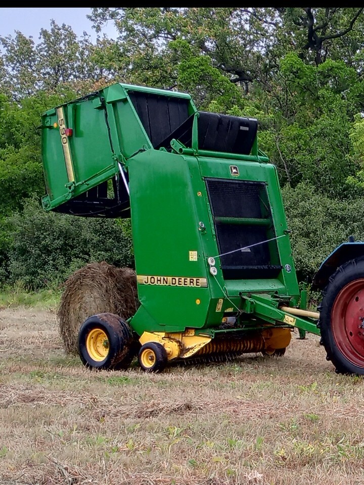���� ��� 590