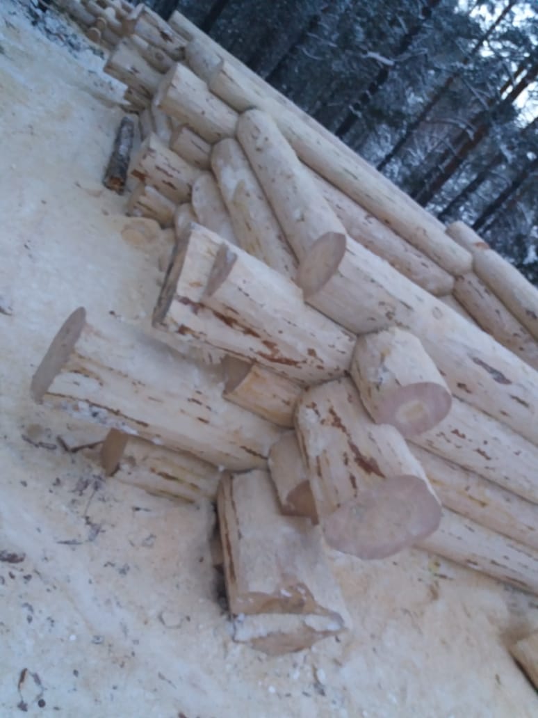Продаю срубы бань и домов из зимнего леса!