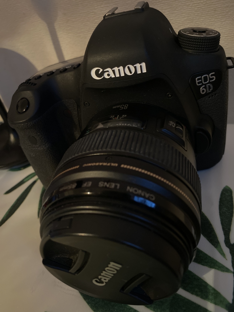  Canon EOS 6D   85 mm