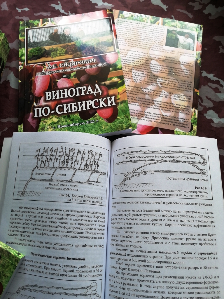Садоводам! Книга выращивание винограда в Сибири и средней полосе России.