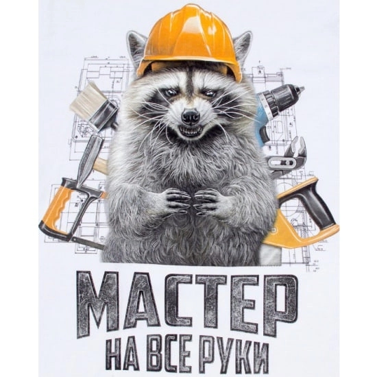 Мастер на час