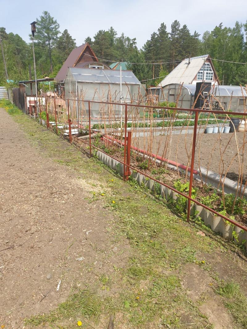 СНТ хвойное
