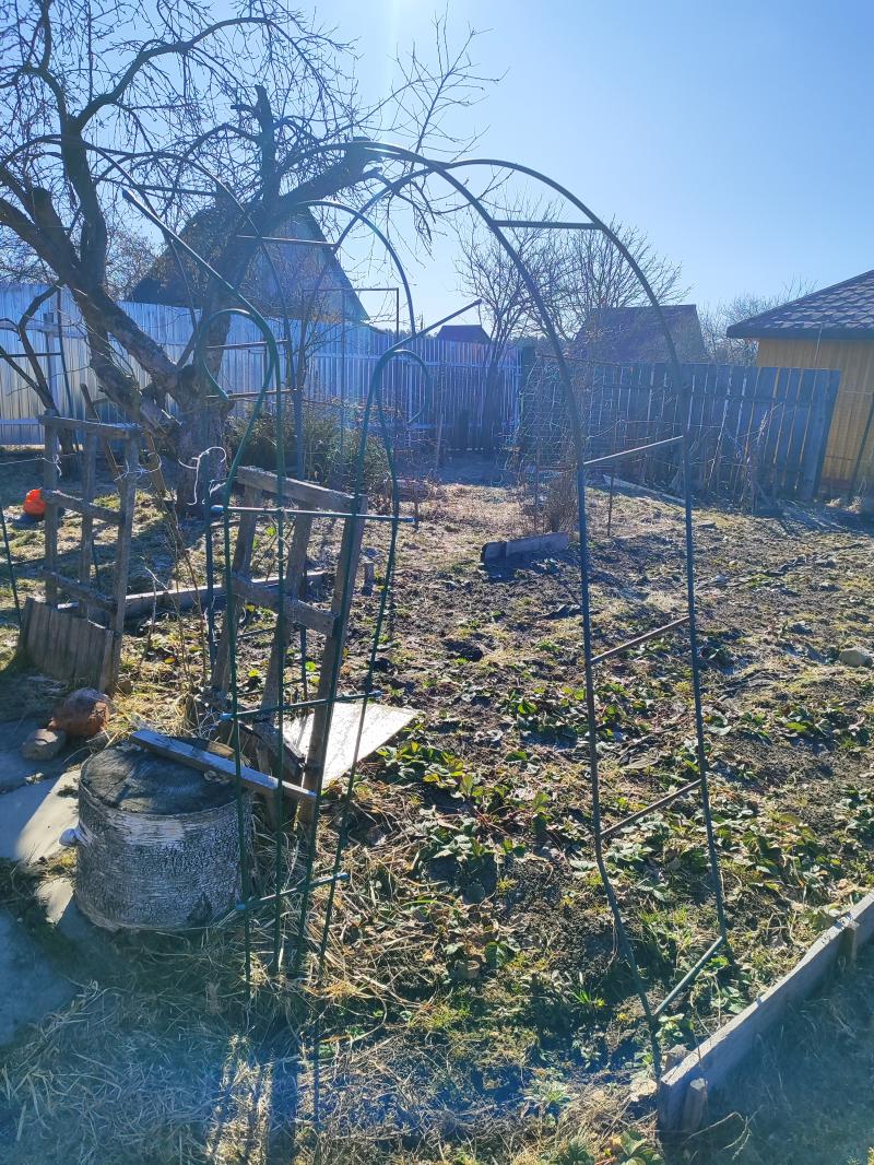 Огород