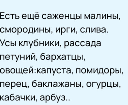 Саженцы и цветы