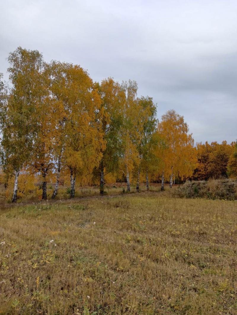Участок 12,38 га