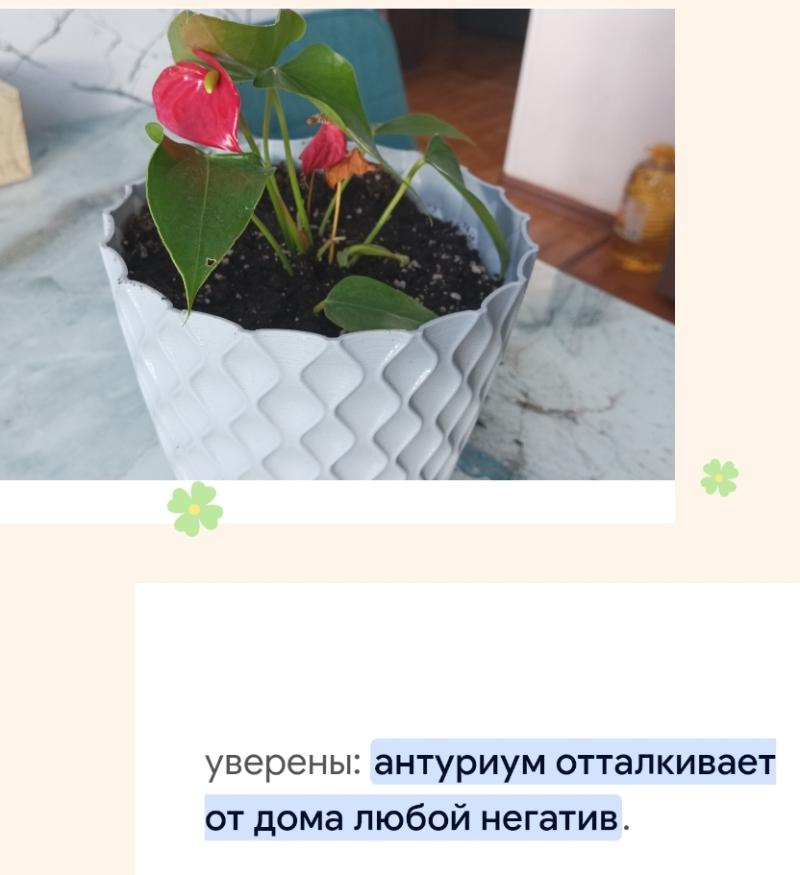 ����� ��������.