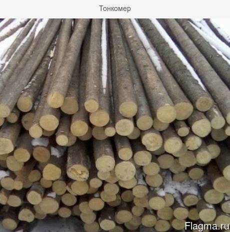Куплю тонкомер любых пород
