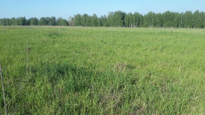 Продам земельный участок с/х назначения
