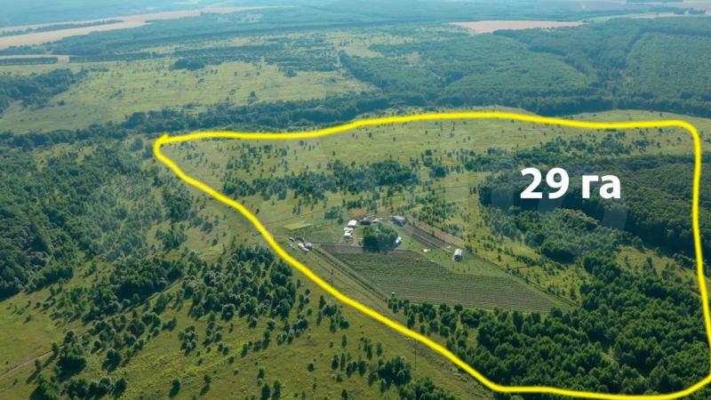 Продаю виноградник с винодельней и домами отдыха