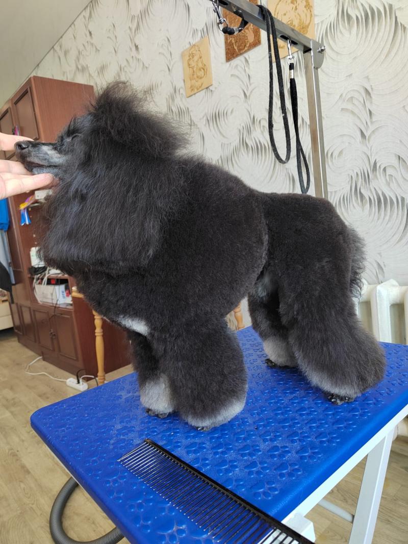 Вязка