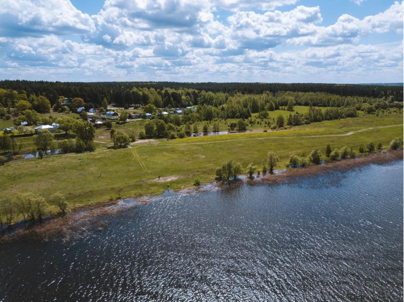 Территория оздоровительного центра в Рязанской области ( 8га. )