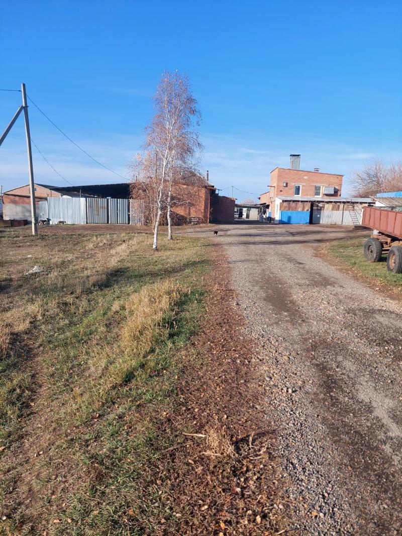 ПРОДАЁТСЯ БОЙНЯ