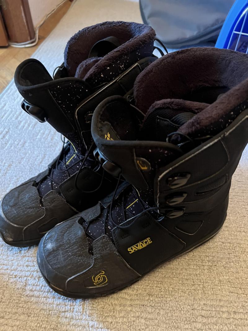 ������� Salomon