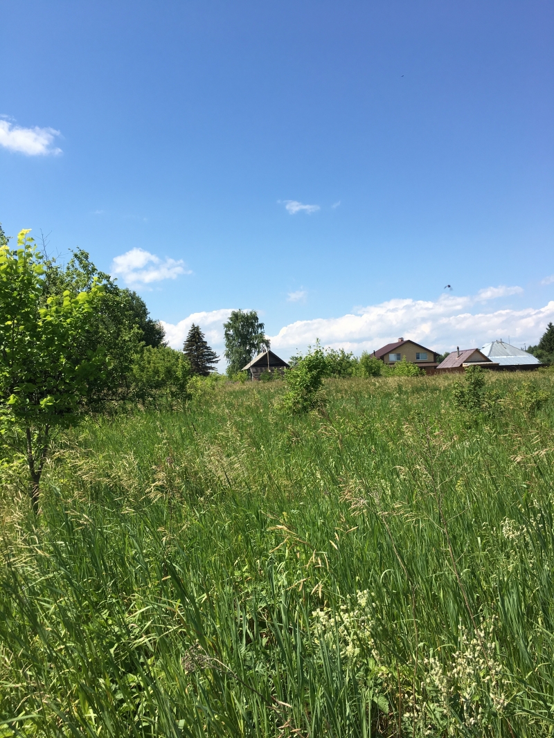 Продам участок в Городецком р-не