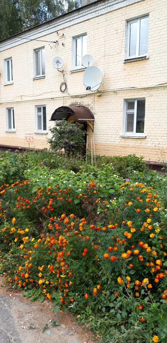 Сдам комнаты на длительный срок в коммунальной квартиомната в 2-к 28 м2, 1/2 эт.