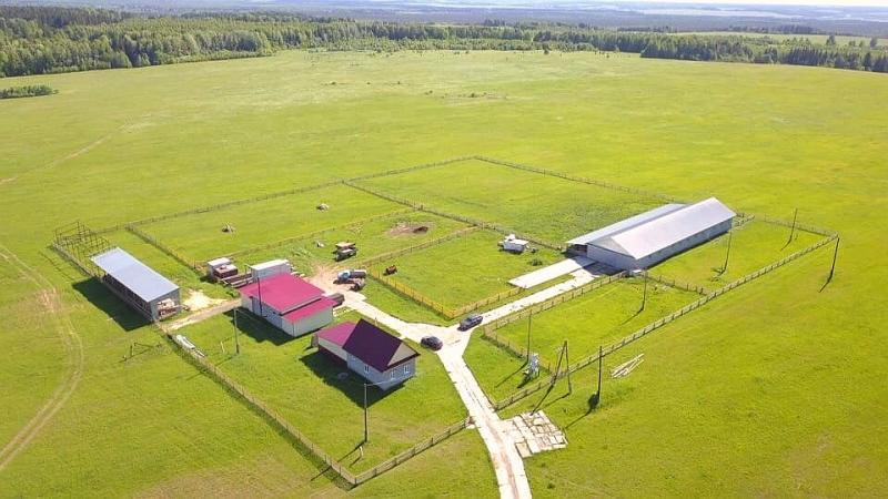 Продажа фермерского хозяйства, Ферма, бизнес