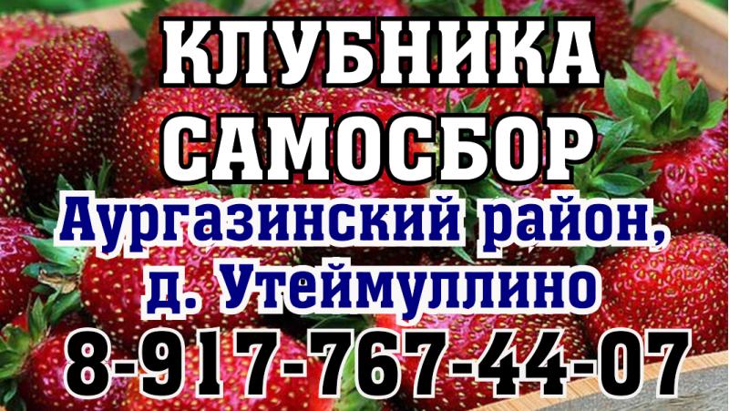 Клубника Самосбор